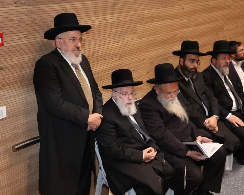 תמונה של WhatsApp_ 2025-04-28 בשעה 16.38.20_57c7b70f
